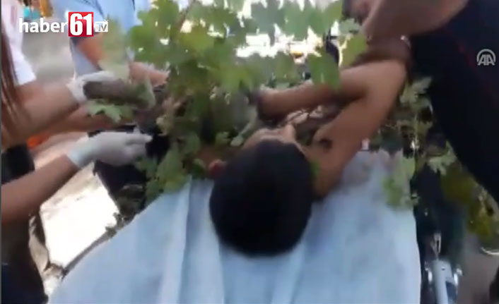 Ağaçtan düşen çocuğun koluna korkuluk demiri saplandı