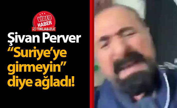 Şivan Perver Suriye'ye girmeyin diye ağladı!