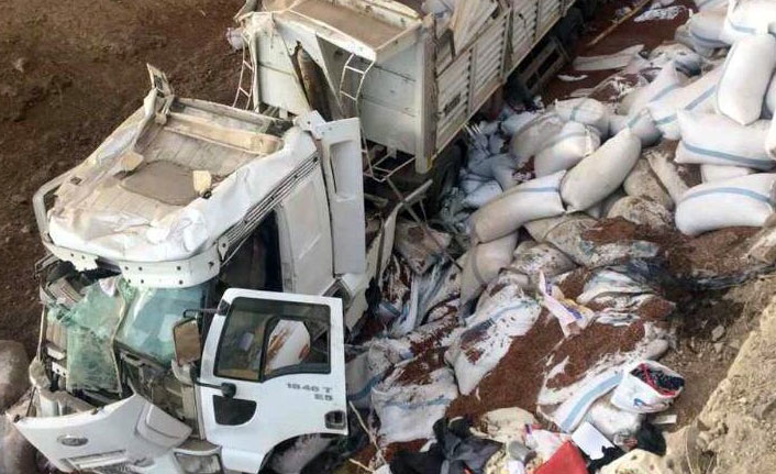 Tır şarampole yuvarlandı