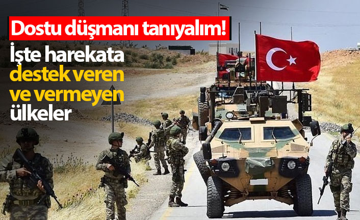 Barış Pınarı Harekatı'nda Türkiye'ye hangi ülkeler destek oldu, hangileri olmadı?