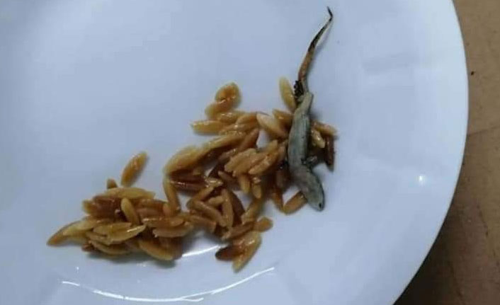 Hastane yemeğinin içinden 'kertenkele' çıktığı iddiası