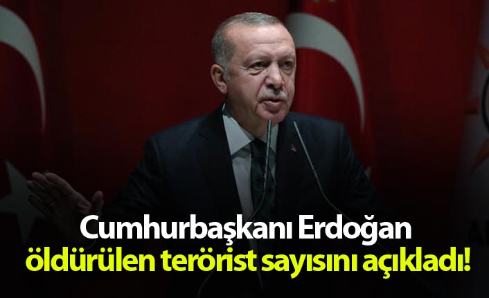 Cumhurbaşkanı Erdoğan, öldürülen terörist sayısını açıkladı!