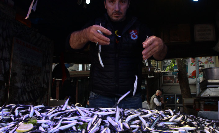 Hamsi fiyatları borsayı aratmıyor