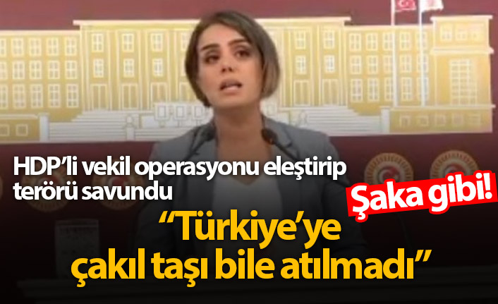 HDP'den bir Barış Pınarı Operasyonu yalanı daha!