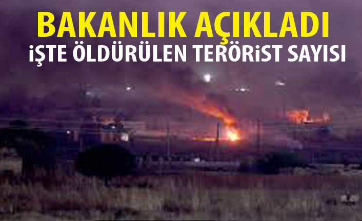 Bakanlık açıkladı! İşte öldürülen terörist sayısı