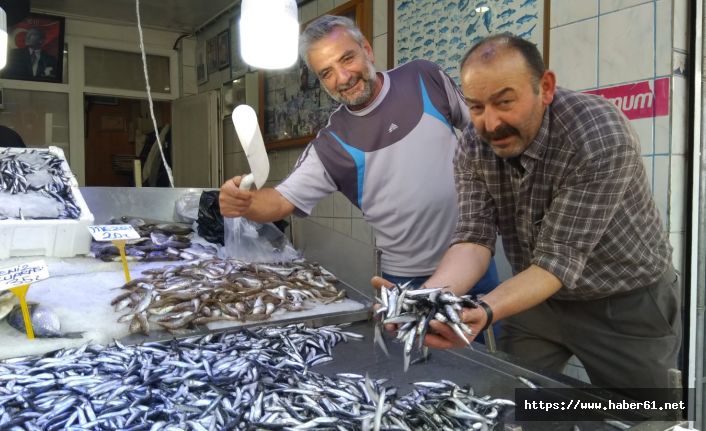 Hamsinin ömrü azalıyor