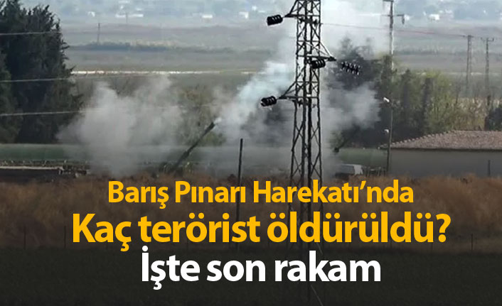 Barış Pınarı Harekatı'nda kaç terörist öldürüldü?