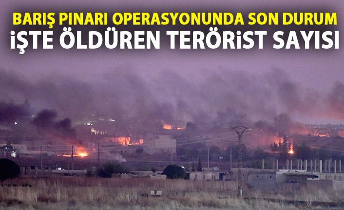 Bakanlıktan yeni açıklama! İşte öldürülen terörist sayısı!