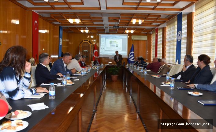 Doğu Karadeniz'de aromatik bitkilerle ilgili çalışma yapıldı