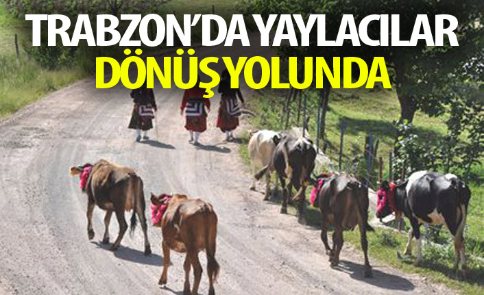 Trabzon'da yaylacılar dönmeye başladı