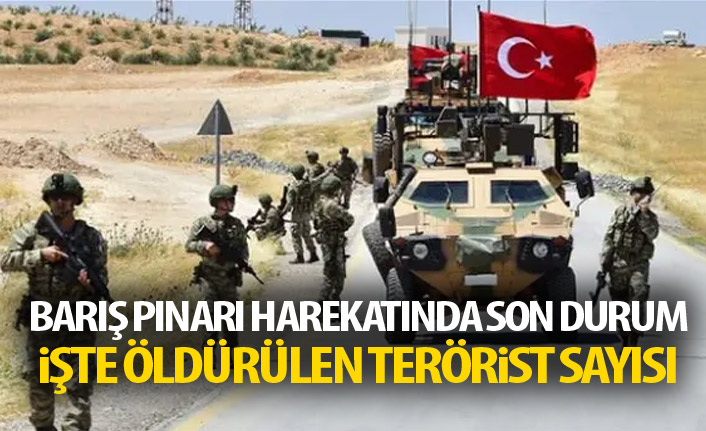 Yeni rakam açıklandı! İşte öldürülen terörist sayısı