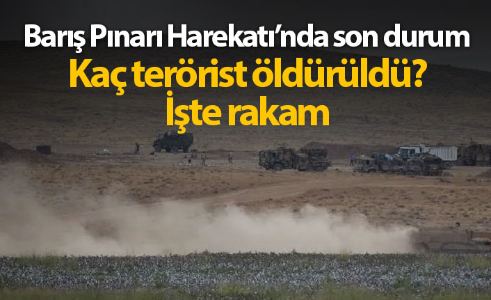 Barış Pınarı Harekatı'nda 6. gün, kaç terörist öldürüldü?