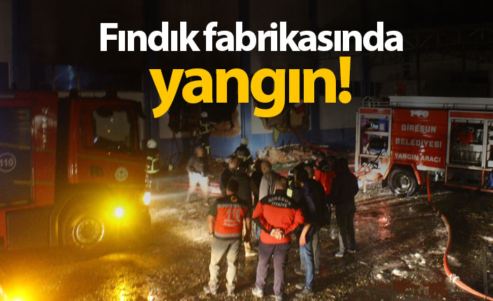 Giresun Organize Sanayi Bölgesi’nde Fındık Fabrikası Yandı