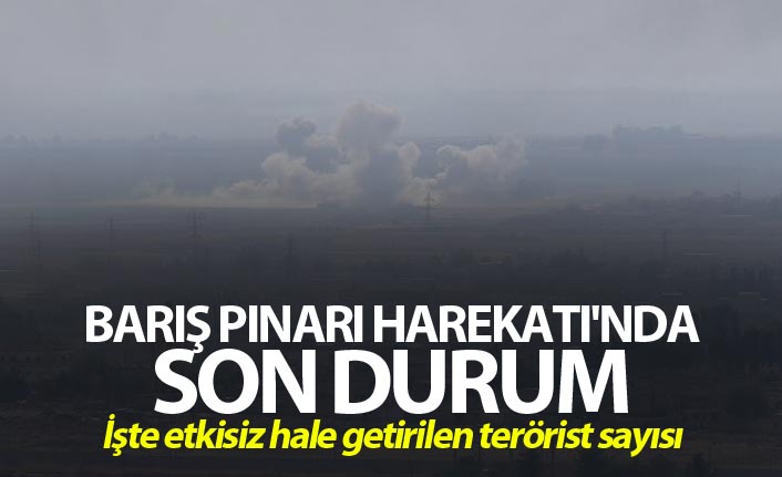 Barış Pınarı Harekatı'nda etkisiz hale getirilen terörist sayısı belli oldu