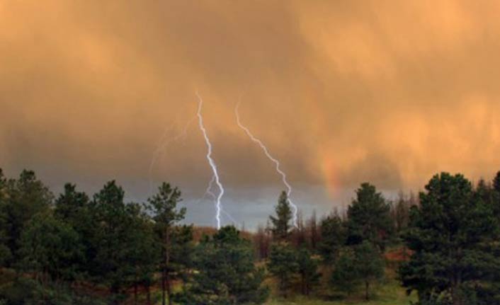 Düşen yıldırım ormanı yaktı