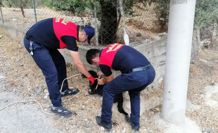 13 metrelik kör kuyuya düşen köpeği itfaiye kurtardı