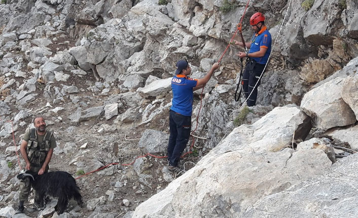 Sason’da kayalıkta mahsur kalan keçi 7 saatlik çalışmayla kurtarıldı