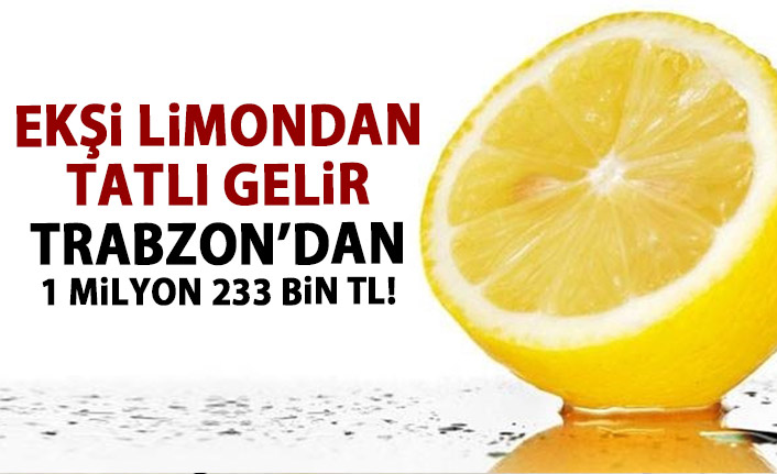 Ekşi limondan tatlı gelir!