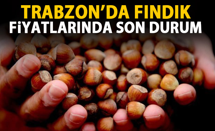 Fındık fiyatı ne kadar? İşte güncel fındık fiyatları