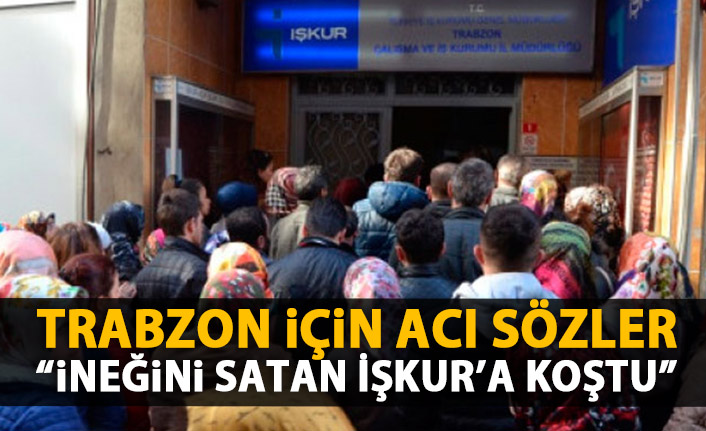 Trabzon için acı sözler: İneği satan İŞKUR'a koştu!