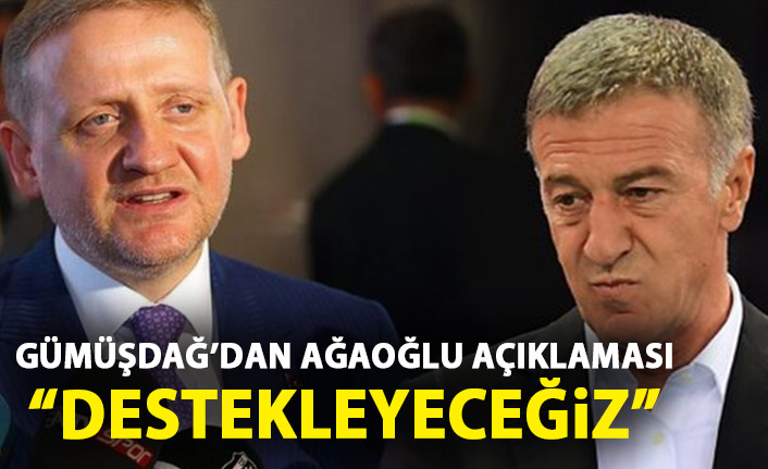 Göksel Gümüşdağ'dan Ahmet Ağaoğlu açıklaması: Destekleyeceğiz!