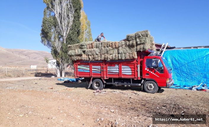 Ot hırsızları tutuklandı!