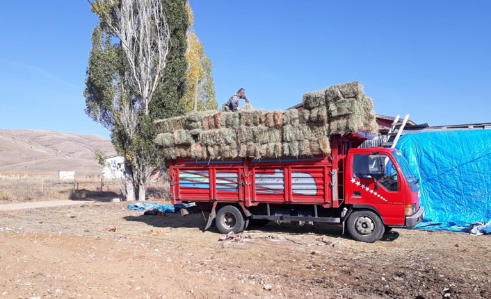 Ot çaldıkları iddia edilen zanlılar yakalandı