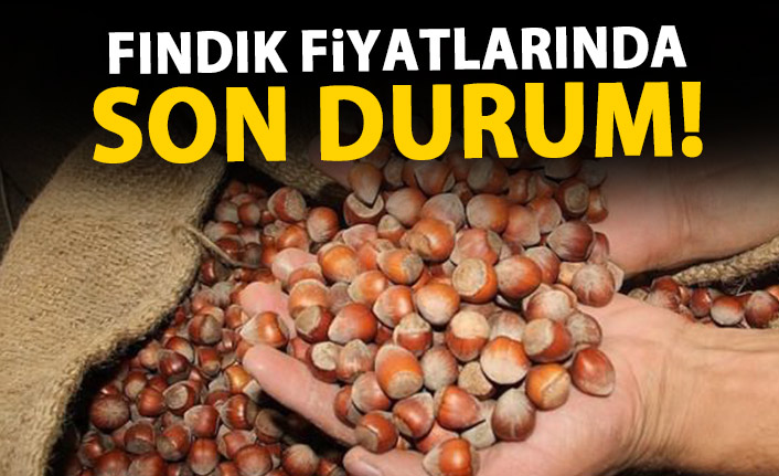 Fındık fiyatları ne kadar? 28 Ekim Pazartesi fındık fiyatları!
