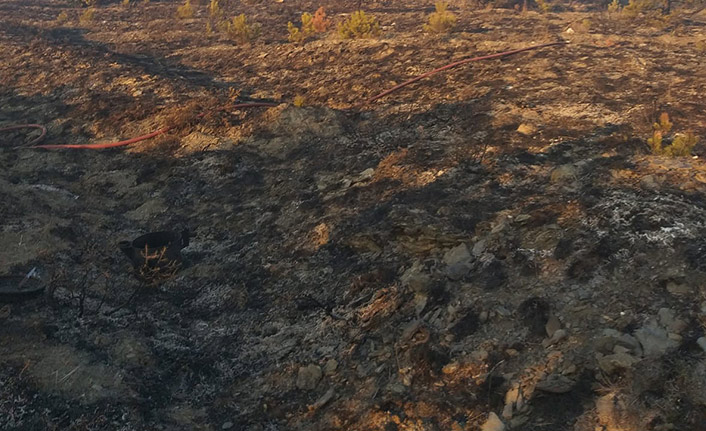 Eskişehir’de orman yangını