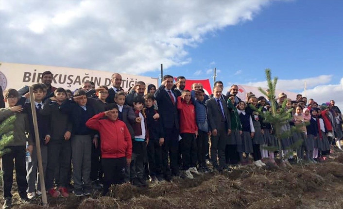 Demirözü’nde fidanlar toprakla buluşuyor