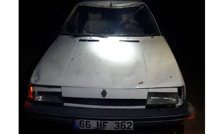 Araç ineğe çarptı