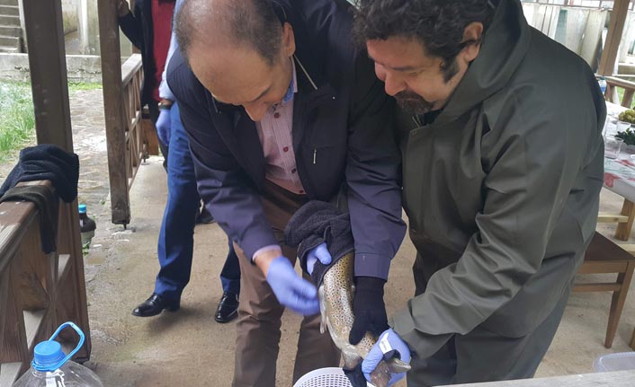 2023 hedefi 650 milyon alabalık