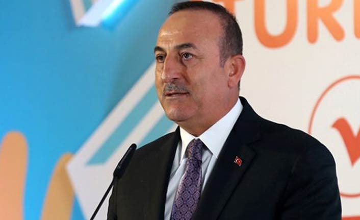 Bakan Çavuşoğlu iki ülkenin adını verdi - "Terör devleti kurmak istiyorlardı"