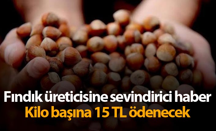 Fındık üreticisine sevindirici haber! Kilo başına 15 TL ödenecek