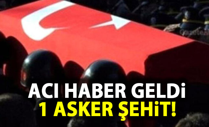 Barış Pınarı'ndan acı haber geldi! 1 Asker şehit oldu - 04 Kasım 2019