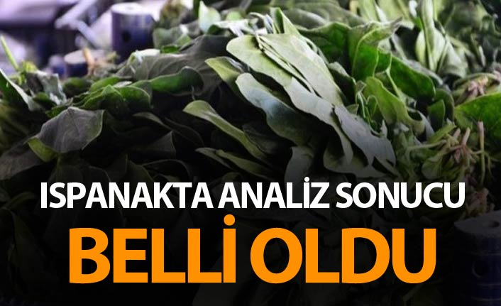 Ispanakta analiz sonucu belli oldu - Flaş açıklama