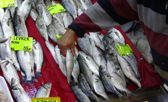 Lüferin kilogram fiyatı bir haftada 60 lira düştü