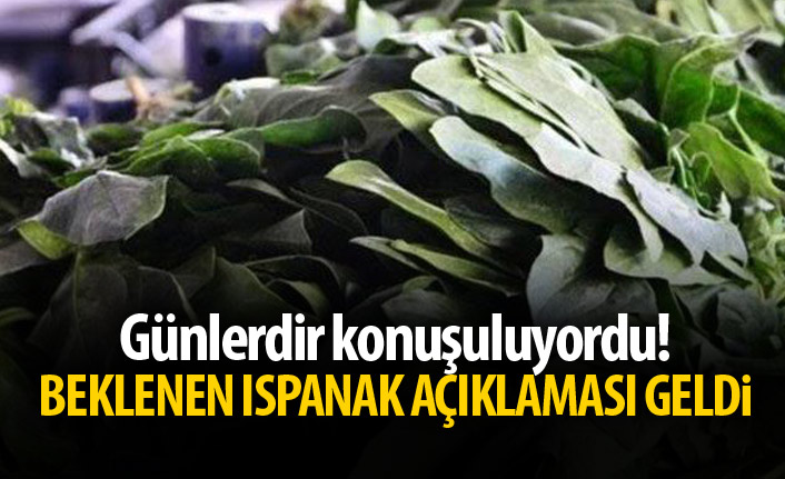 Ispanak için beklenen açıklama geldi!