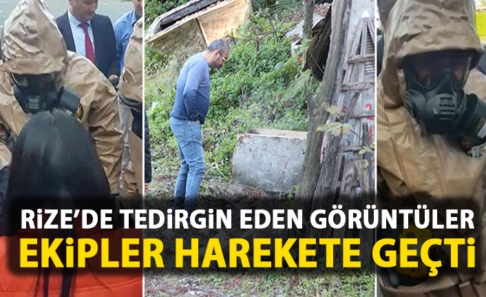 Rize'de tedirgin eden görüntü! Ekipler harekete geçti!