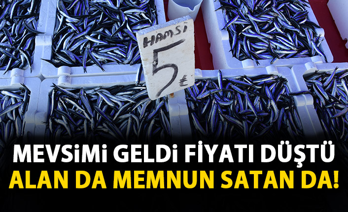 Hamsinin fiyatı 5 liraya düştü!