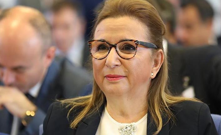 Bakan Pekcan'dan müjde 3 milyar 754 milyon TL destek