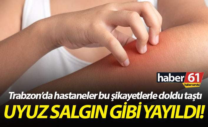 Trabzon'da uyuz hastalığı salgın gibi yayıldı! Uyuz nedir, nasıl tedavi edilir?