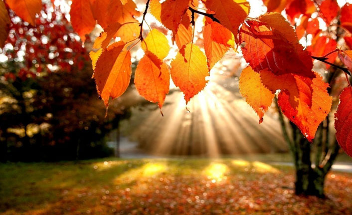 Doğu Karadeniz'de sıcaklıklar mevsim normallerinin üzerinde