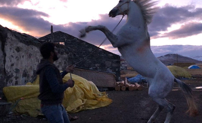 Hayatını atına borçlu! Ameliyat gününü beklerken...