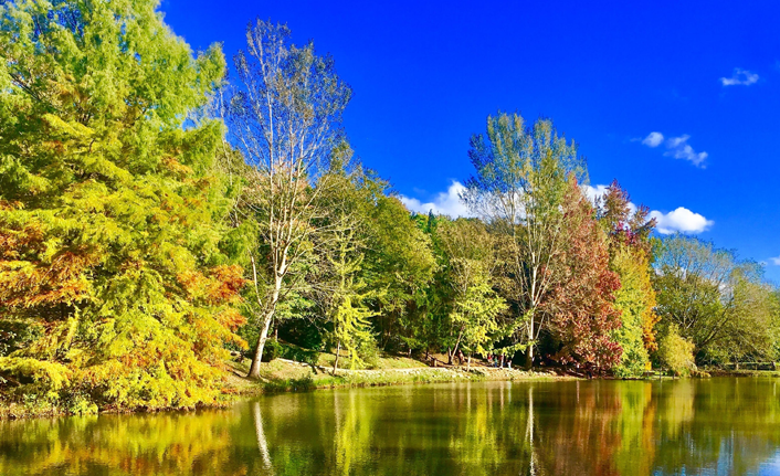 Bayburt'ta sonbahar mevsimi büyülüyor!