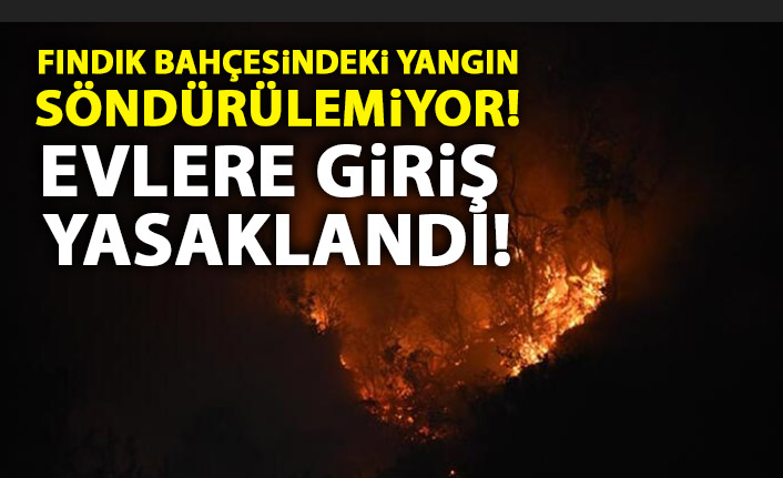 Fındık bahçesinde yangın söndürülemiyor! Evlere giriş yasaklandı!