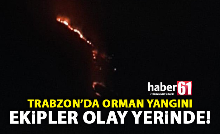 Trabzon’da Orman Yangını! Müdahale edilemiyor!