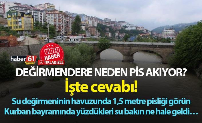 Değirmendere neden pis akıyor? İşte cevabı!
