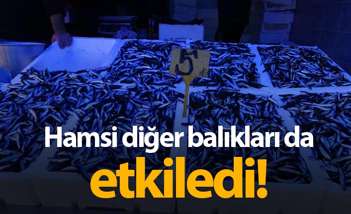 Hamsi fiyatıyla yüzleri güldürmeye devam ediyor