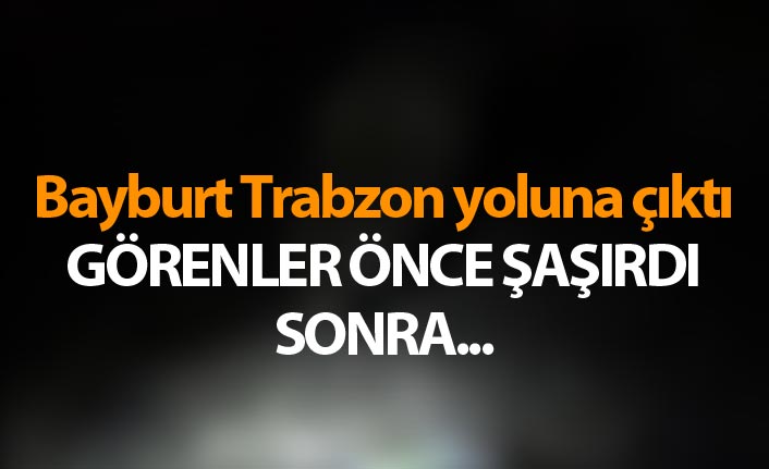 Bayburt Trabzon yoluna çıktı - Görenler önce şaşırdı sonra...